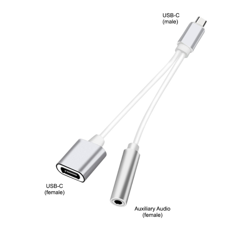 2-in-1 USB-C (Type-C) to 3.5mm Audio Jack and USB Type-C Charger with DAC -  GeeWiz