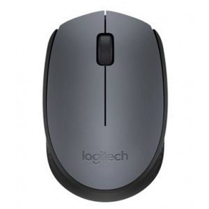 Logitech M170 Cordless Notebook Mouse - Black and Silver