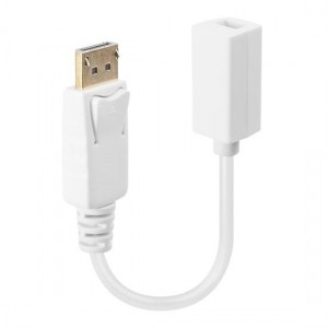 Lindy DisplayPort Male to Mini DisplayPort Female Adapter Cable (41060)