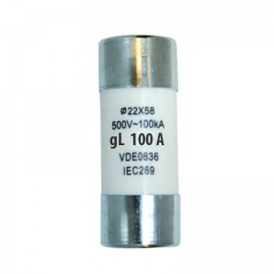 100A 22 x 58mm Fuse 100kA 500V (AC or DC) - For use with Axpert Inverter Batteries- Used- Slight Scratches