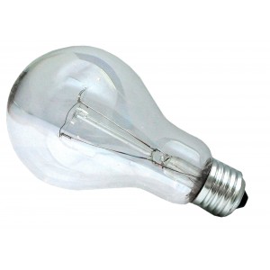 E27 GLS 100w Incandescent Clear Light Bulb