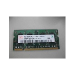 Hynix  1GB  Memory Ram