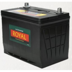 Royal Delkor NS70 65AH Deep Cycle Battery - 12 Volt