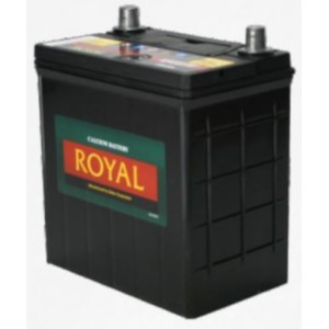 Royal Delkor NS40 35AH Deep Cycle Battery - 12 Volt